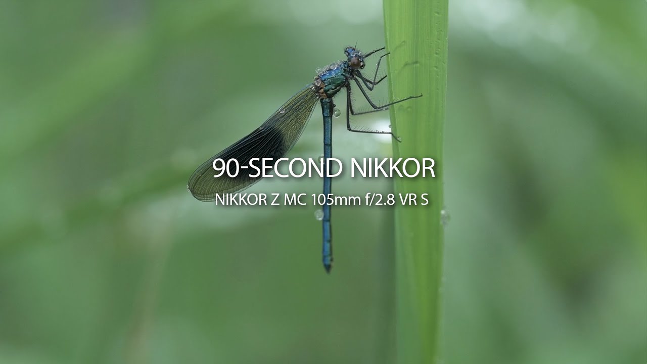 90 SEGUNDOS NIKKOR | Episdio 7 | NIKKOR Z MC 105mm f/2.8 VR S